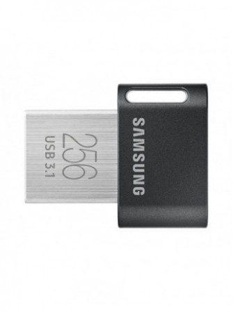 USB DISK 256 GB FIT PLUS...