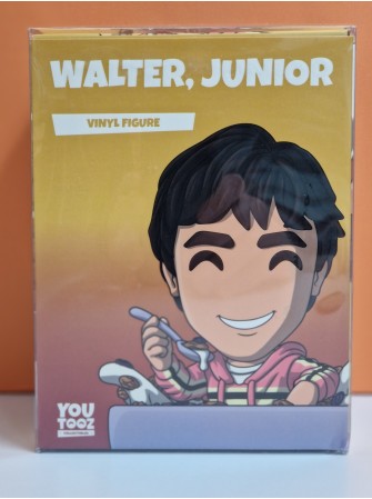 Walter Junior Breaking Bad