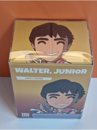 Walter Junior Breaking Bad