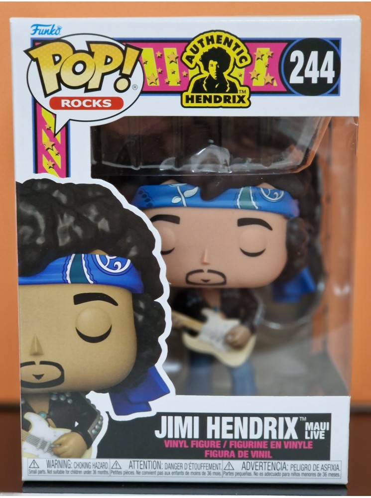 Jimi Hendrix 244