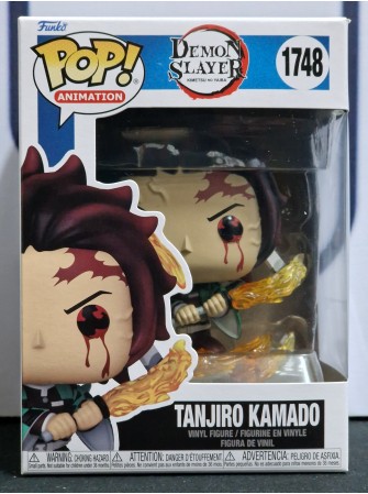 Tanjiro Kamado 1748 Demon...
